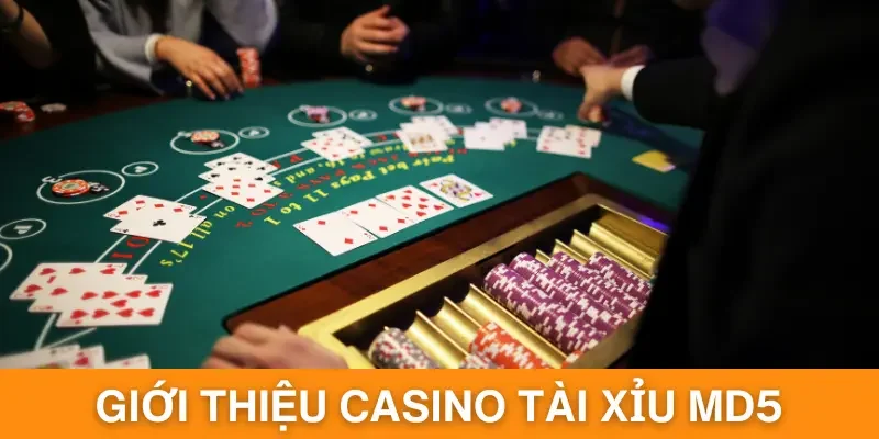 Thông tin khái quát nhất đến người chơi về sảnh casino