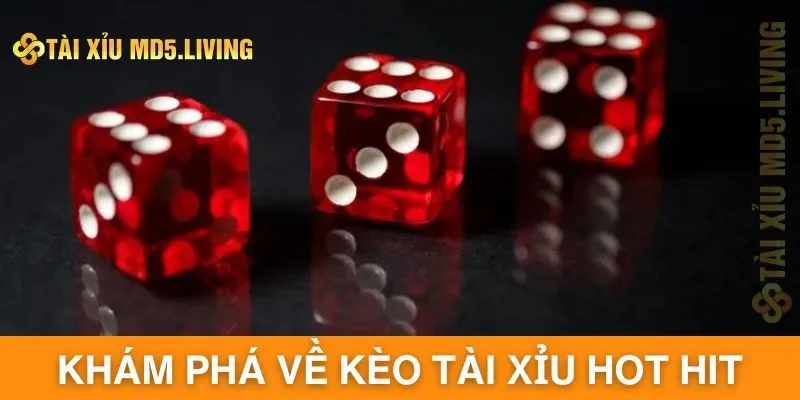 Khám phá về kèo tài xỉu hot hit