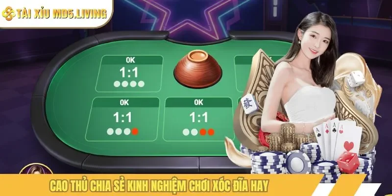 Cao thủ chia sẻ kinh nghiệm chơi xóc đĩa hay