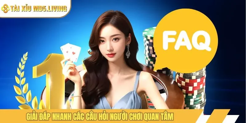 Giải đáp nhanh các câu hỏi người chơi quan tâm