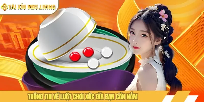 Thông tin về luật chơi xóc đĩa bạn cần nắm