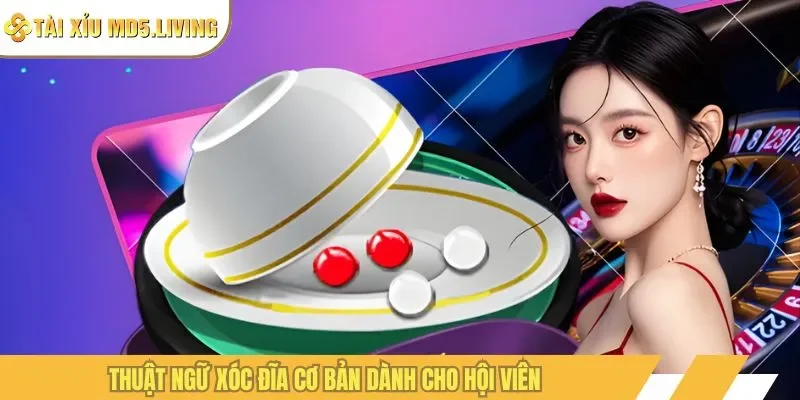 Thuật ngữ xóc đĩa cơ bản dành cho hội viên